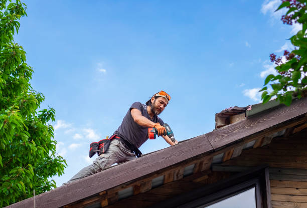 Best Roof Maintenance and Cleaning  in East Grand Forks, MN